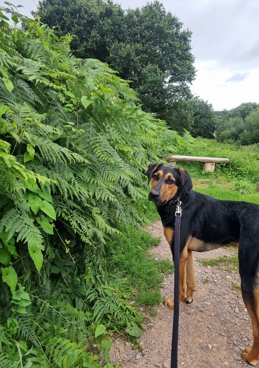 Kate ✨️ tweet media