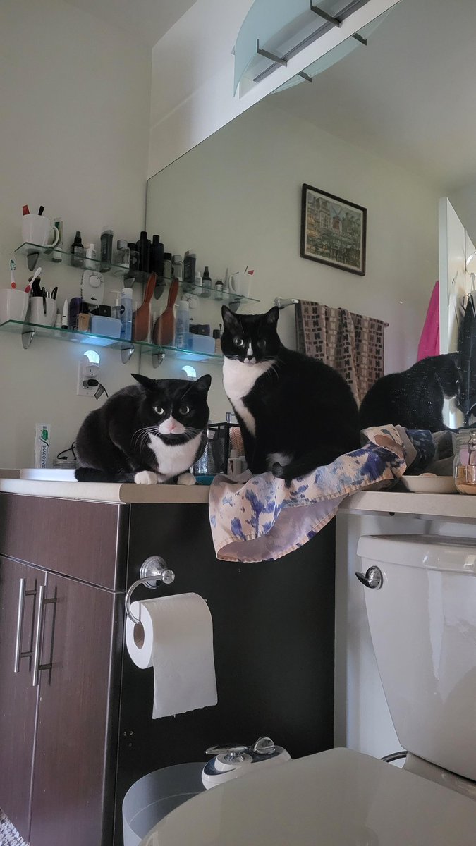 Bowinn Ma tweet media