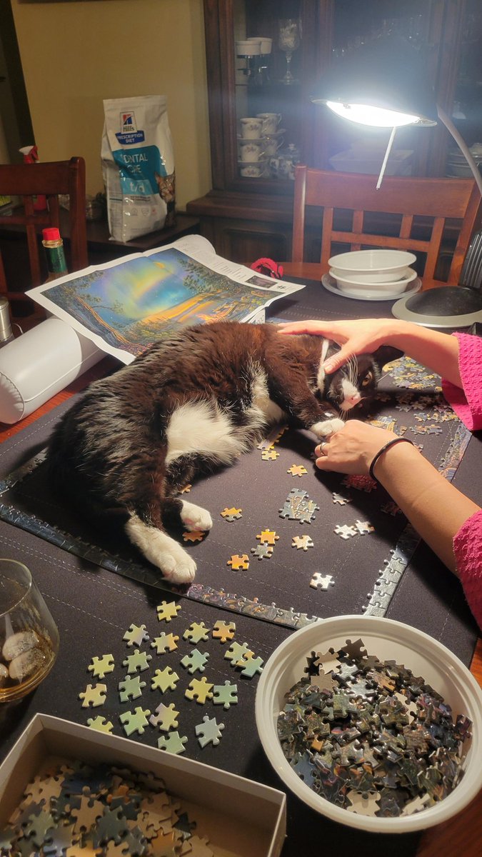 Bowinn Ma tweet media