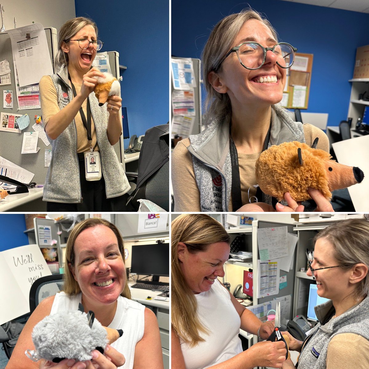 BCM Pediatric Renal Fellowship tweet media