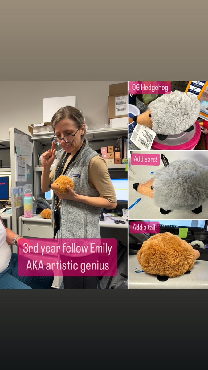 BCM Pediatric Renal Fellowship tweet media