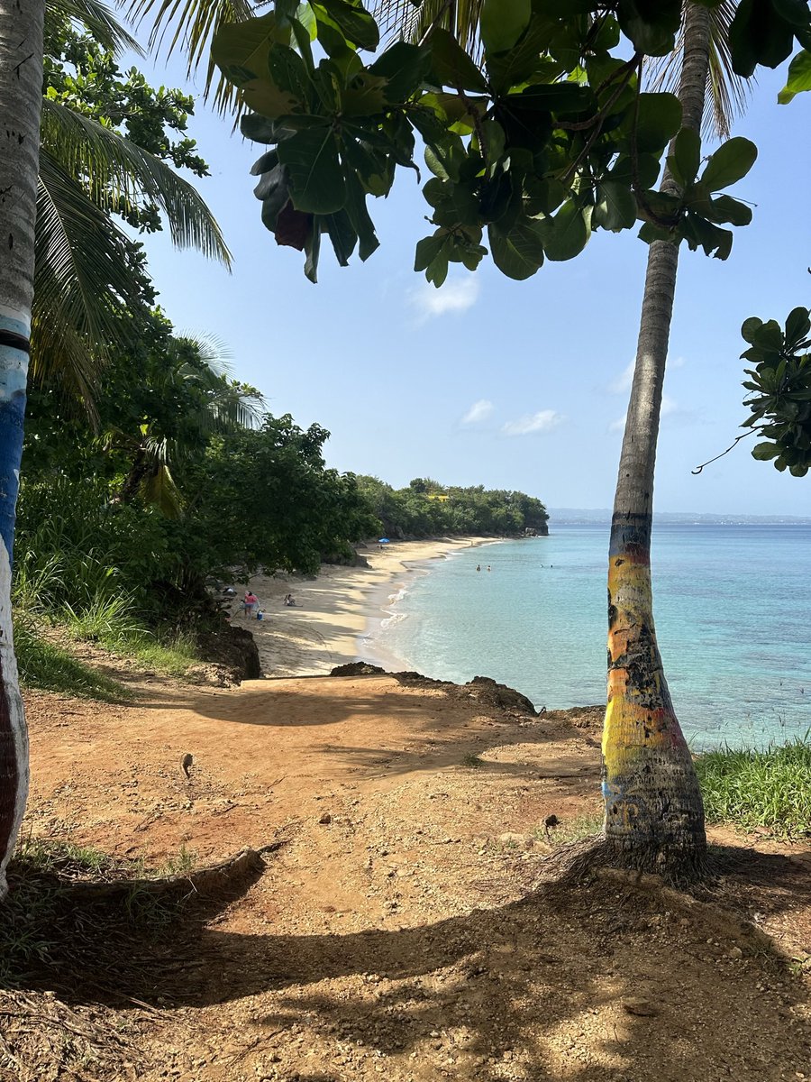 An actual pic I took on my phone of a beach in Puerto Rico. When I sent it to a friend she thought it was fake until she noticed that it was a Live Photo.