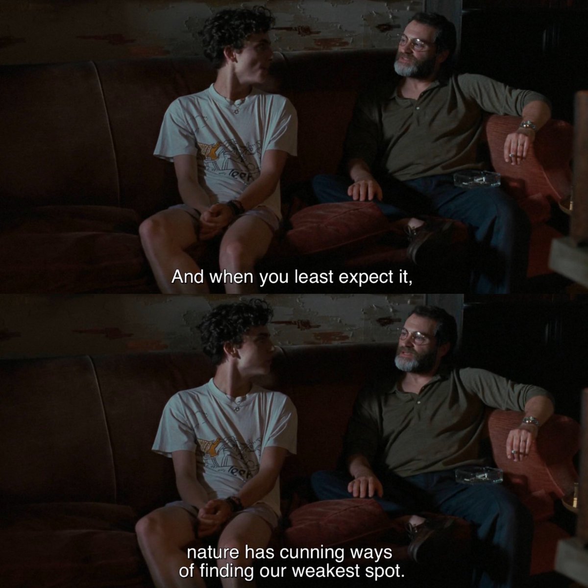 call me by your name tweet media