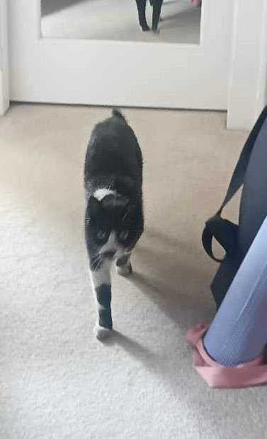 BevDuthie tweet media