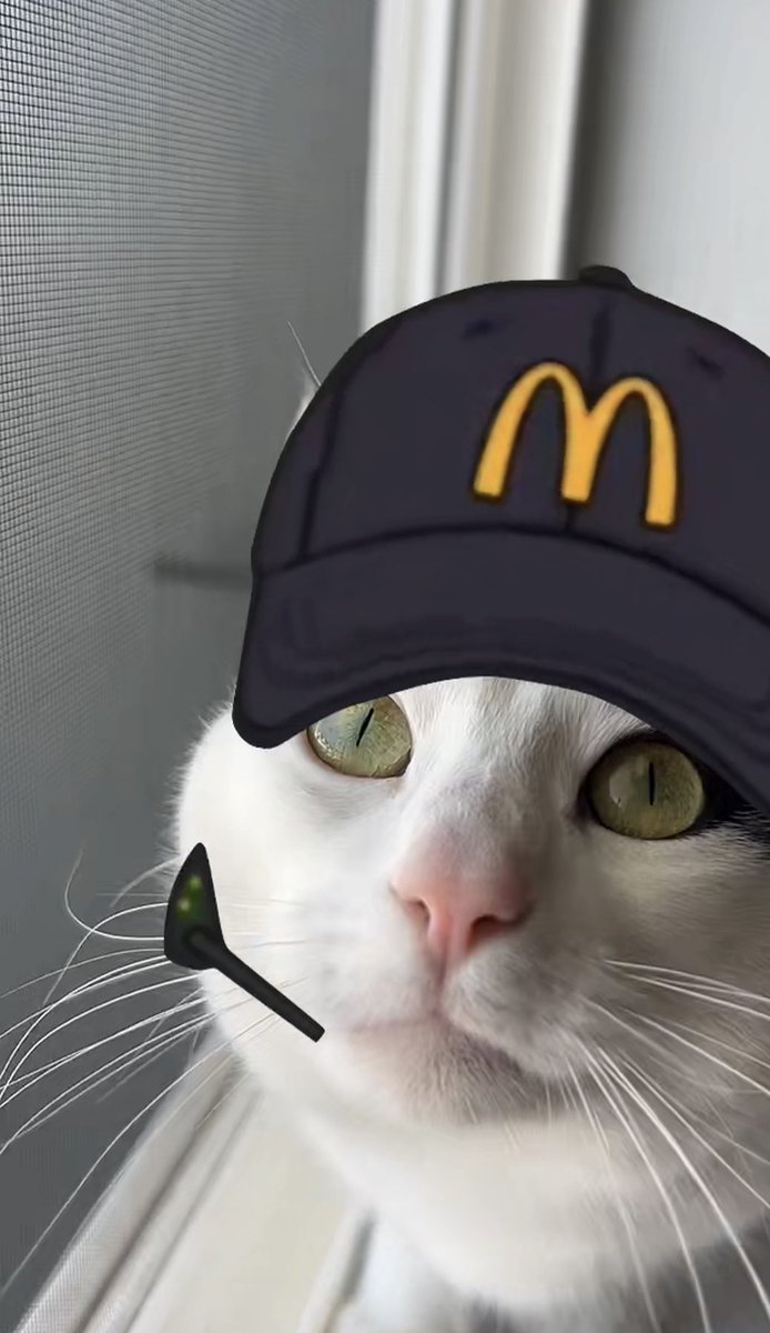 ilyelenaz's tweet photo. What’s your McDonalds order? https://t.co/L9YLhYezCX