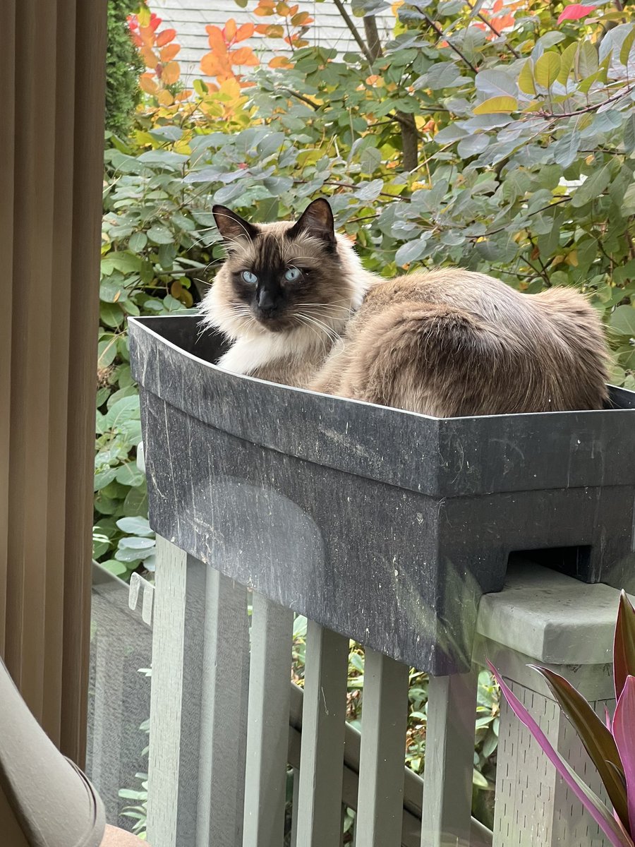 BevDuthie tweet media