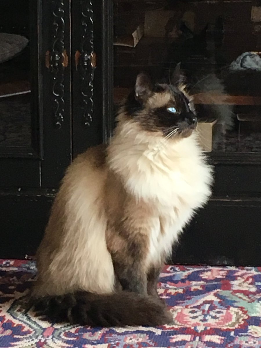 BevDuthie tweet media