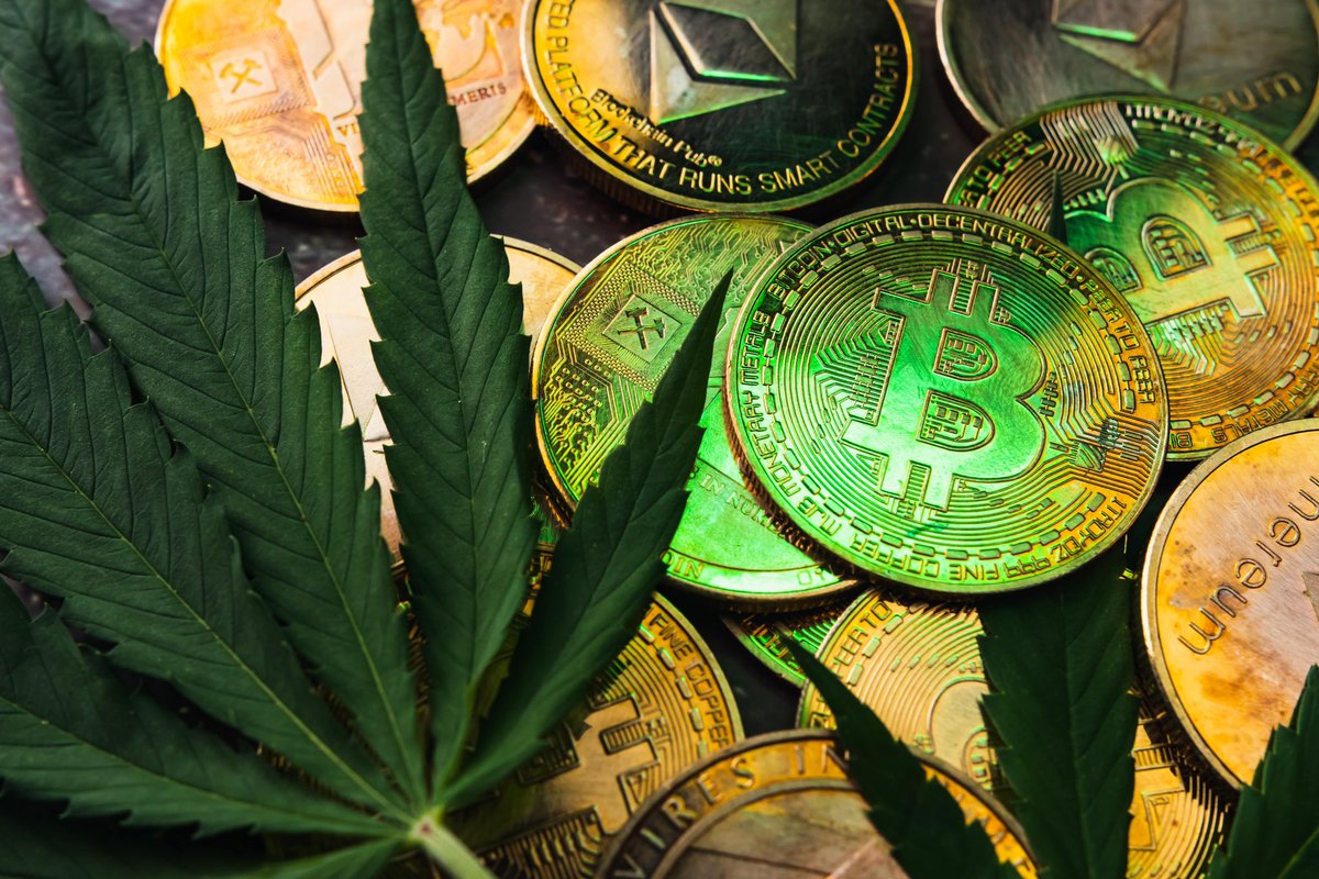BraveCorporati1's tweet photo. Discover how BravePay opens up financial services for the cannabis industry. 🌿💳

https://t.co/hyiLs3WRjK

#FinancialServices #CannabisIndustry #BravePay https://t.co/TZFw7fLxXd