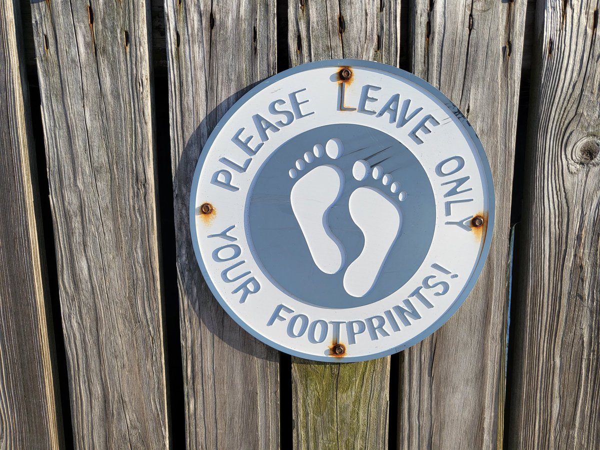 TomOster6's tweet photo. @noshoesradio https://t.co/9dJrgXAmNg