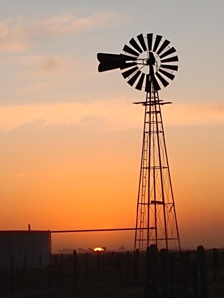 Buenas...... Cosas del Campo!!!