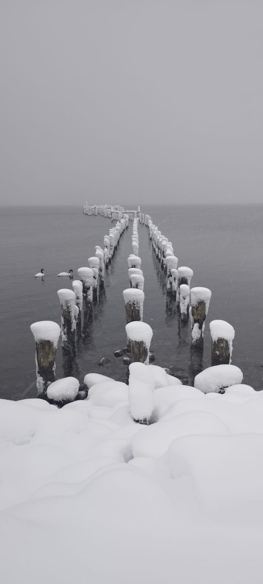 Winter in Puerto Natales

Check our programs here 

ecotripschile.com

#puertonatales #chileestuyo #panamericanoschile2023