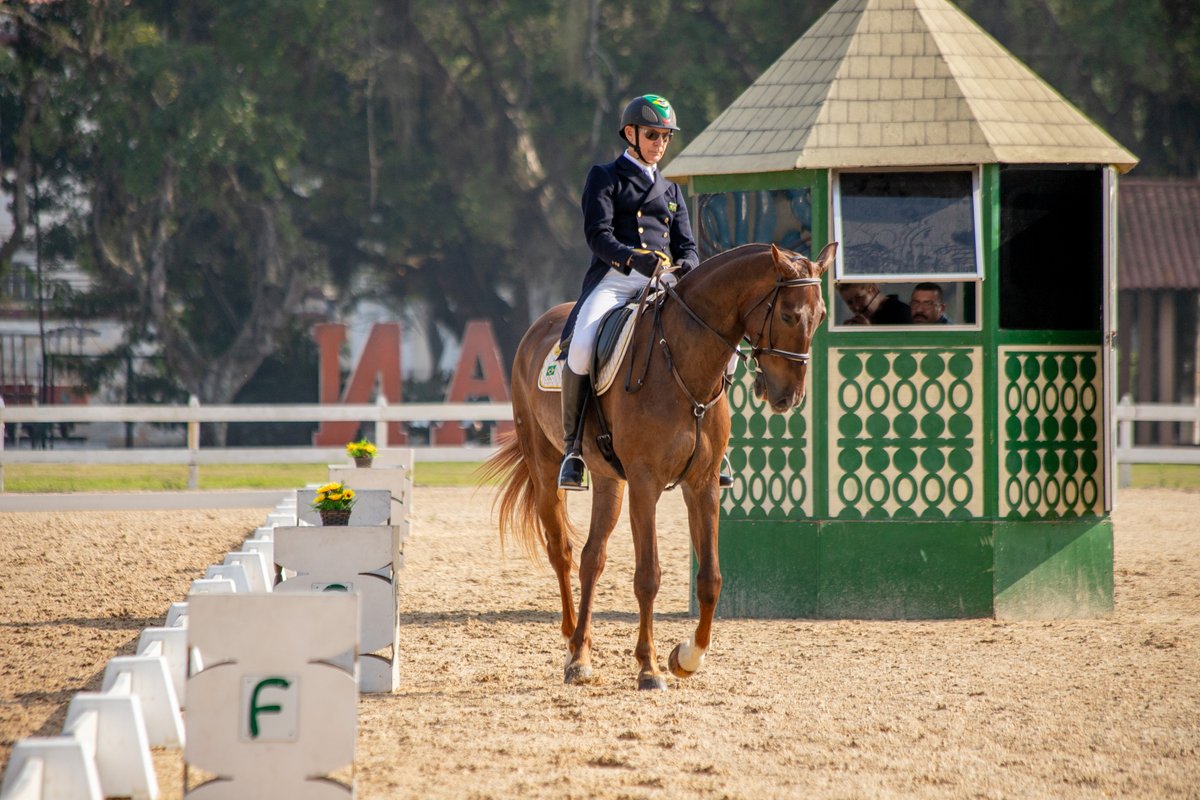 AlexandroAuler's tweet photo. Eventing. CCI EsEqEx 2023.
©Alexandro Auler/Equestrian Photographer
#equestrianphotographer
#equestrian
#cci
#eventing https://t.co/MfH32dXPqI