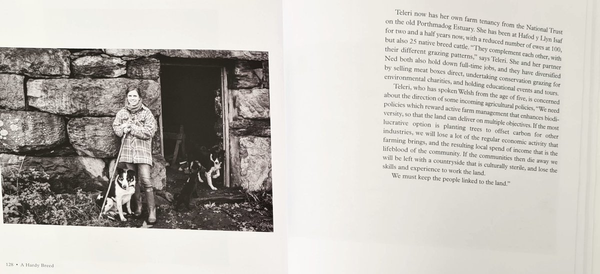 <a href="/natsheep/">National Sheep Association</a> @HillShepherd3 <a href="/1GarethWynJones/">Gareth Wyn Jones</a> <a href="/KateBeavan/">Kate Beavan</a> <a href="/AgriHighland/">Highland Agri - Ryan</a> <a href="/laithafarm/">Charlotte Ashley Farm</a> <a href="/Ffermio/">Ffermio</a> <a href="/HafodLydan/">Fiona</a> <a href="/Llyfrau/">Llyfrau</a> <a href="/bailhill_kay/">Kay Hutchinson</a> <a href="/woolismybread/">Alison O’Neill ~ Shepherdess</a> <a href="/CambrianWool/">Cambrian Wool</a>
<a href="/dailysheep1/">Daily Sheep</a> <a href="/addictedtosheep/">Addicted to Sheep</a>
<a href="/sioellanrwst/">SioeLlanrwstShow</a> <a href="/SioeSirMeirion/">SioeSirMeirion</a> <a href="/farmersmarts123/">Farmers Marts</a> <a href="/NFUtweets/">National Farmers' Union</a>
<a href="/FarmersWeekly/">Farmers Weekly</a>

<a href="/TeleriFielden/">Snowdonia Shepherdess - Bugeiles Bach</a>