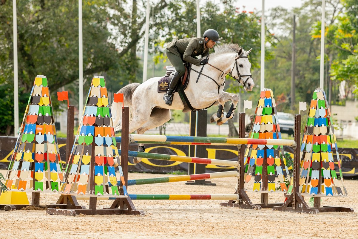 AlexandroAuler's tweet photo. Eventing. CCI EsEqEx 2023. ©Alexandro Auler/Equestrian Photographer #equestrianphotographer #equestrian #cci #eventing https://t.co/VU7vwEnP98