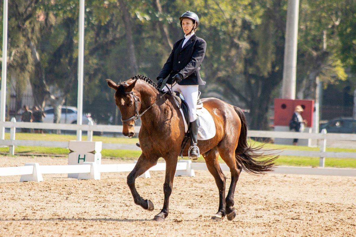 AlexandroAuler's tweet photo. Eventing. CCI EsEqEx 2023. ©Alexandro Auler/Equestrian Photographer #equestrianphotographer #equestrian #cci #eventing https://t.co/Pep7tTAFCH