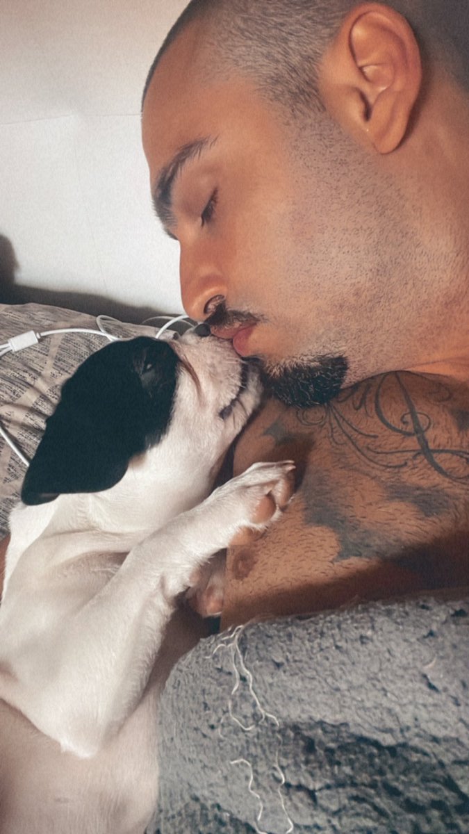 Berto_98_98's tweet photo. Zeus 🐶❤️ https://t.co/drirJQCnNR