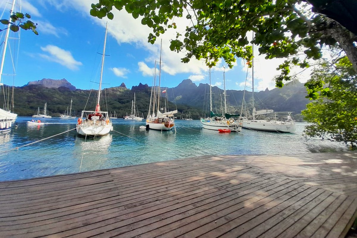 MDFGlobal's tweet photo. MDF's #PacificRegional team partnered with SPSN to support participants from Tonga, Vanuatu, &amp; Fiji at Tahiti Moorea Sailing Rendezvous, to promote yachting tourism in the Pacific region. Info: https://t.co/d9sYrbO44W
#TeamMDF #MDFinPacific

@PalladiumImpact @Swisscontact https://t.co/NigxtxBJju