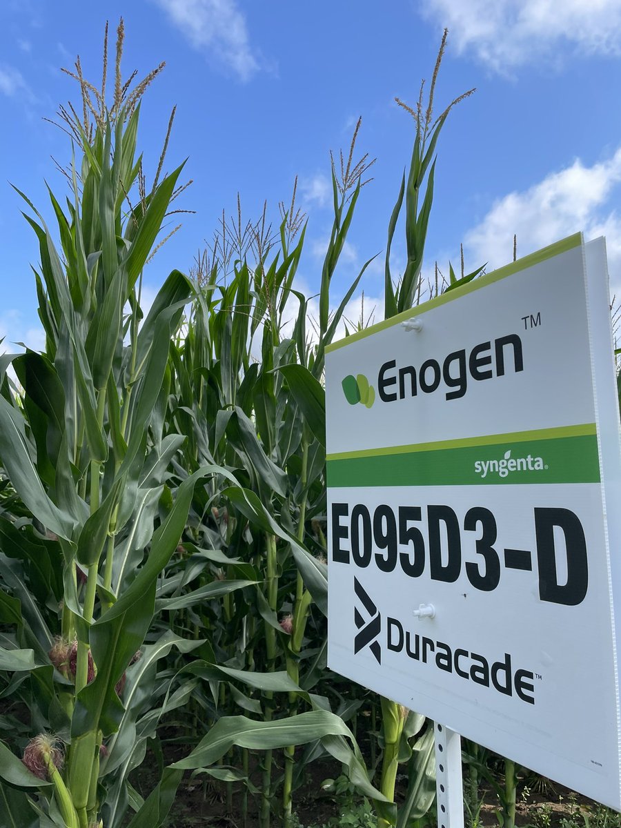 Sarah Starratt tweet media