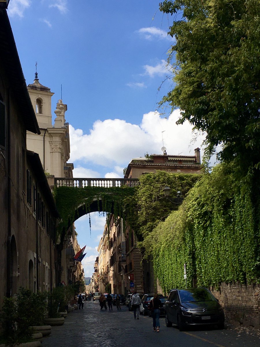 caputmundiHeidi's tweet photo. Adoro Via Giulia! Sono sempre alla ricerca di piccoli angoli tranquilli a #Roma 🤍 e questo è uno! 
È un piacere passeggiare lungo questa stradina trafficata; nessun negozio per attirare i turisti, ma con molti gioielli architettonici lungo la strada!
#Rome https://t.co/6pR1GoXRBq