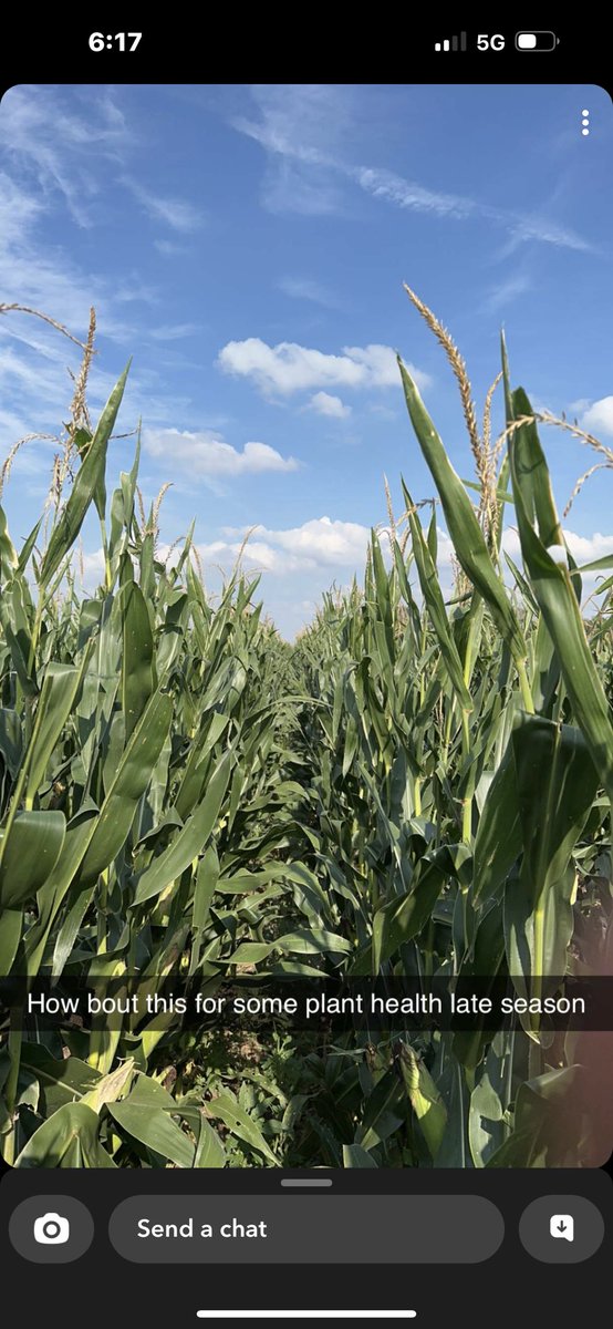 Bodie Kitchel tweet media