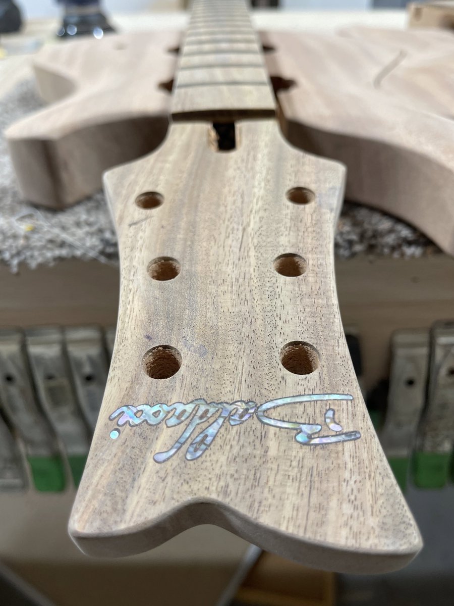 BaldacciGuitars's tweet photo. WE BACK 🔥🔥 https://t.co/dS9inzn4A2