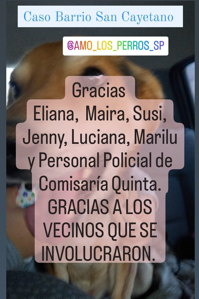 cotelaichaco's tweet photo. CASO BARRIO SAN CAYETANO. 

TERMINAMOS EL DIA CONTANDO QUE SE LOGRO RESCATAR A ESTOS ANIMALES. 

MUCHAS GRACIAS PORQUE MUCHAS PERSONAS SE INVOLUCRARON PARA AYUDAR.

Gracias 
Eliana,  Maira, Susi, Jenny, Luciana, Marilu y Personal Policial de Comisaría Quinta, QUE HICIERON POSIBLE https://t.co/ypZdX8L3QN