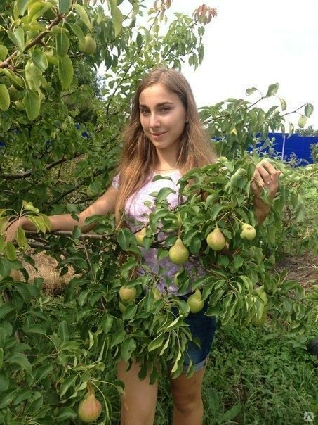 #nikeafarm #doga #toprak #meyve #cicek #sebze