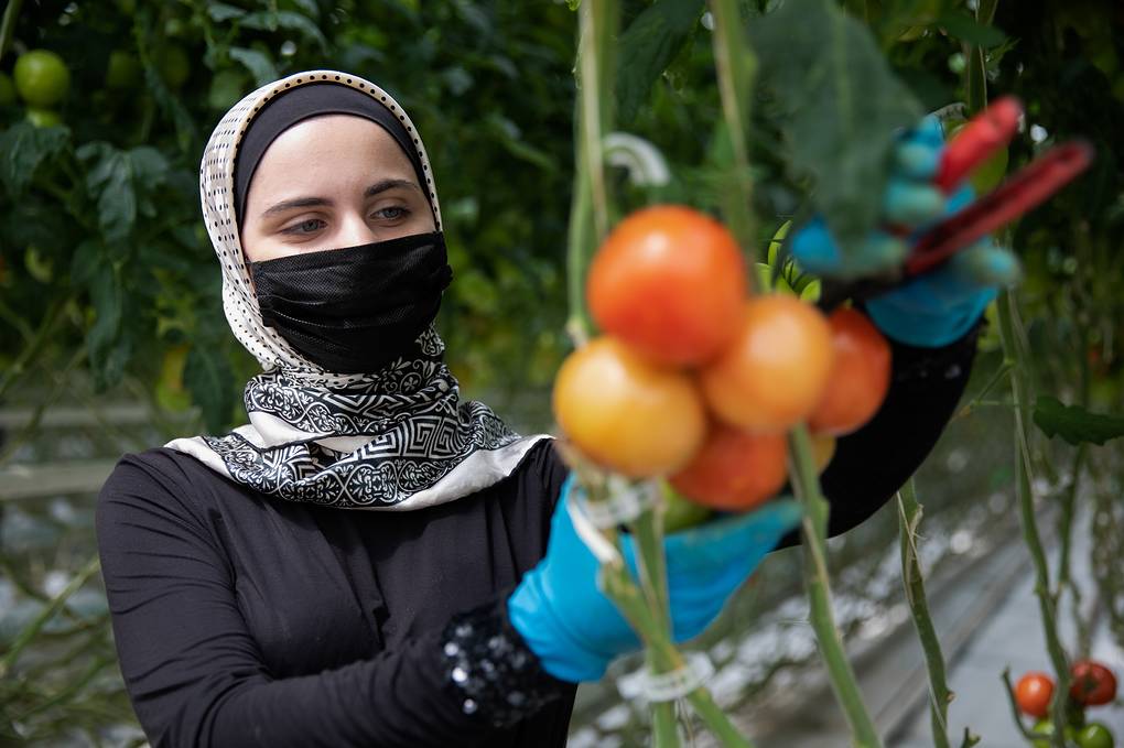 #nikeafarm #doga #toprak #meyve #cicek #sebze