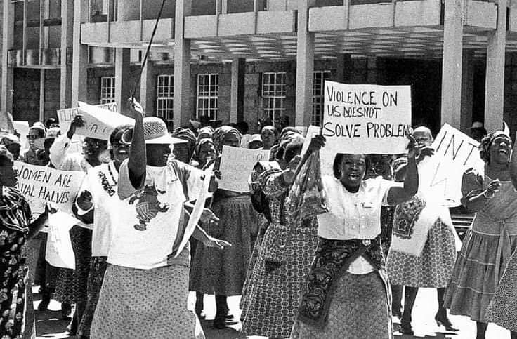 CATHERINE CONSTANTINIDES tweet media