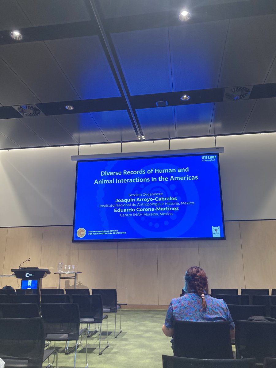 Zoë van Litsenburg tweet media