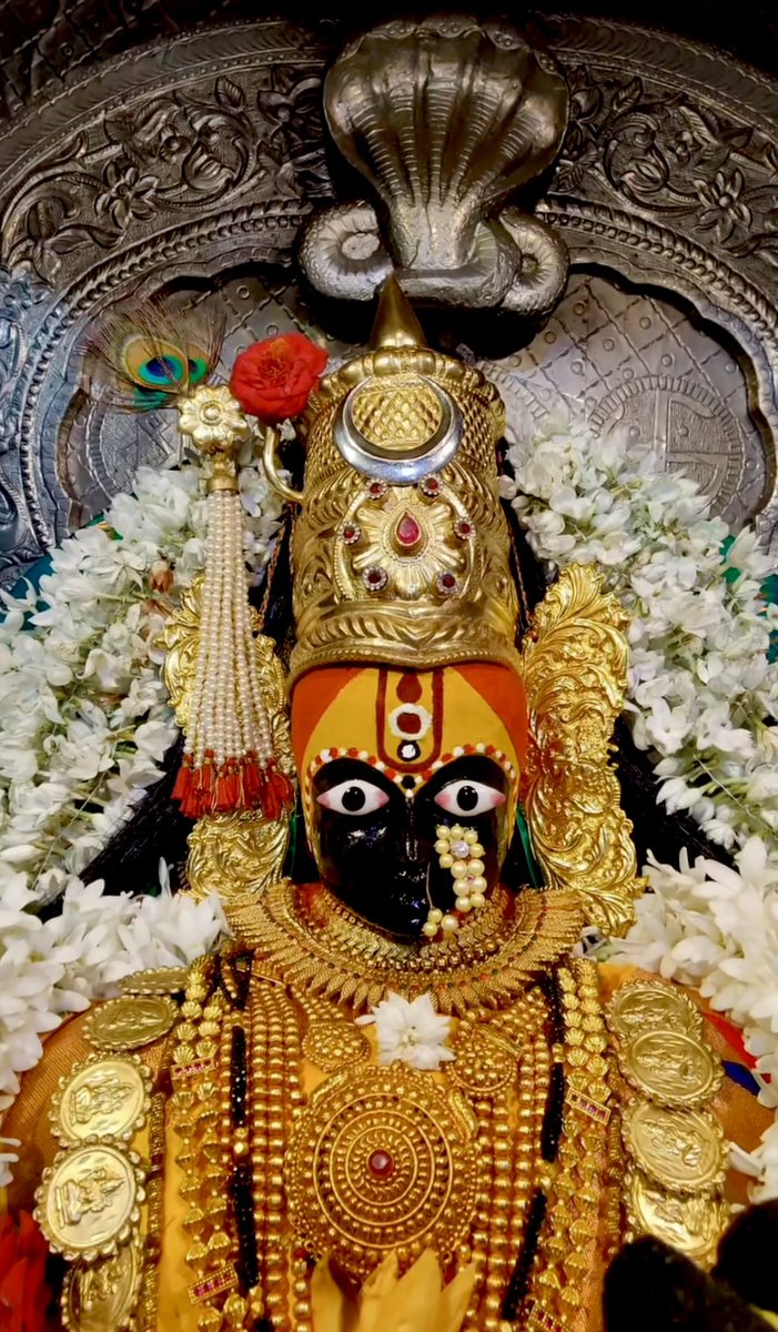 महालक्ष्मी का दिव्य अलौकिक स्वरूप🌺🙏🏻