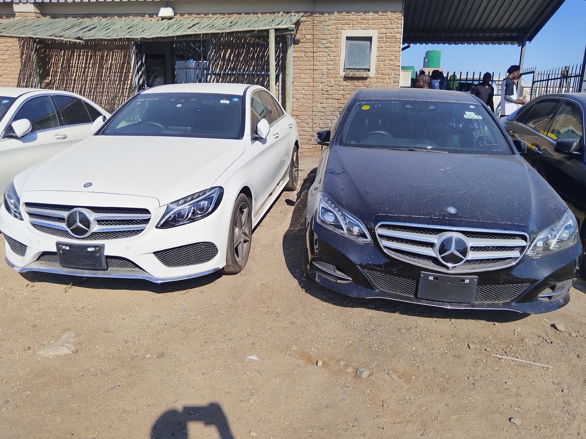 clearing Agent Beitbridge tweet media