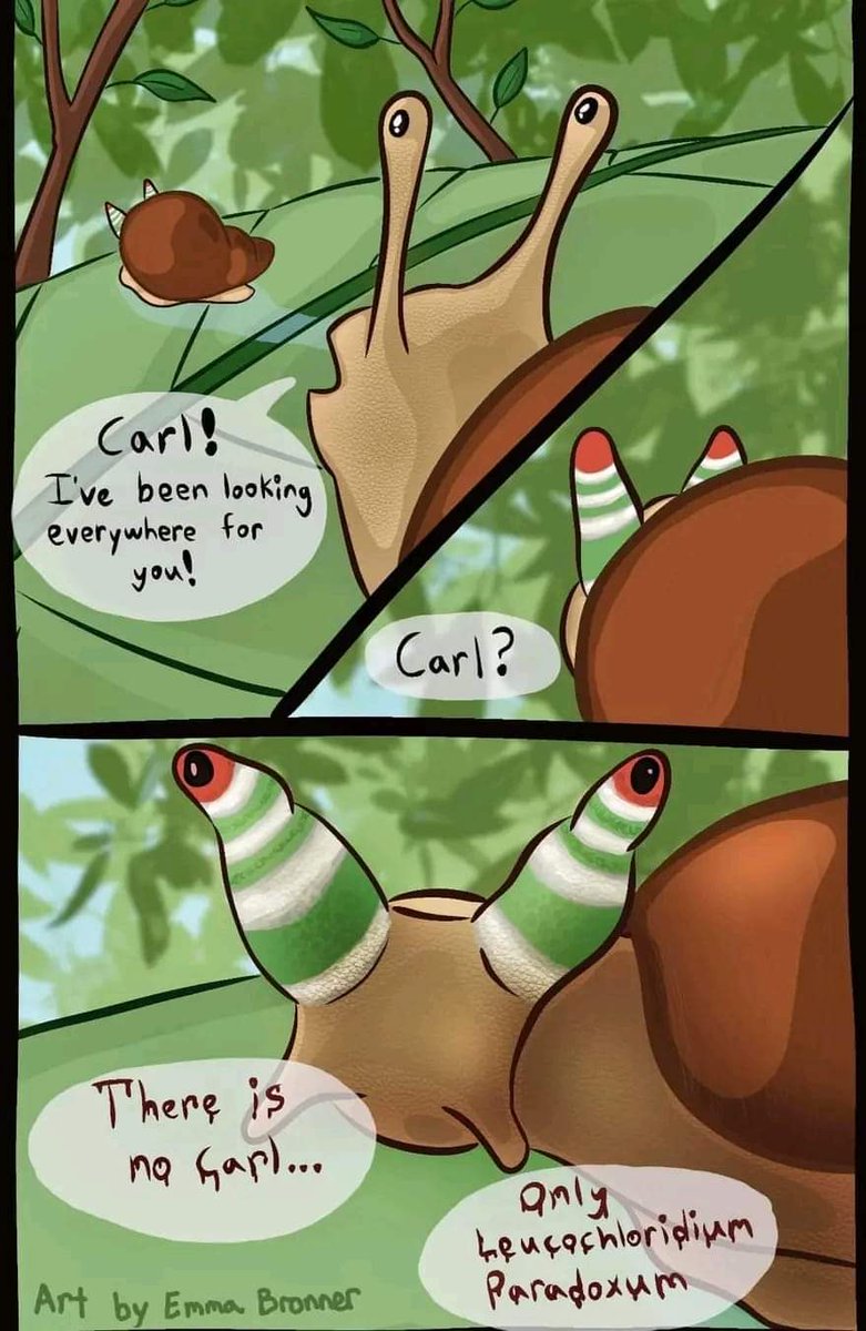 Quand, en errant sur internet, tu trouves ça et que ça te fait penser à un épisode de <a href="/patrick_baud/">Patrick Baud</a> 😁