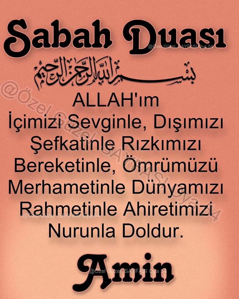 DADAŞ MHP REİS HAYRANI 🇹🇷🤘🇵🇸 (@dadaszcn2) on Twitter photo 