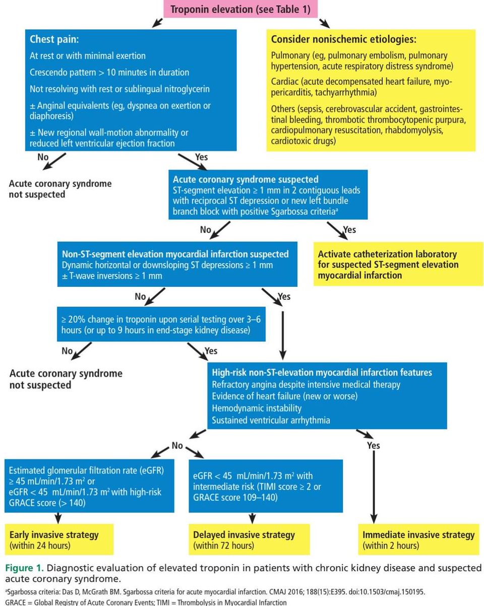 Nephronboy's tweet photo. Elevación de troponinas en pacientes con enfermedad renal crónica y sospecha de síndrome coronario agudo 🫘🫀⚡
#ccjm #nephrology #Cardio
doi:10.3949/ccjm.90a.23012 https://t.co/CIbotJkkMV