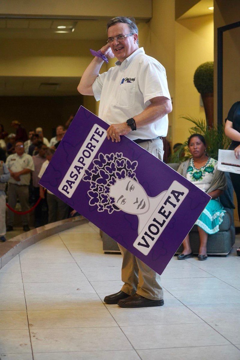 Pasaporte Violeta en Sonora , un mundo de nuevas posibilidades para la mujer.