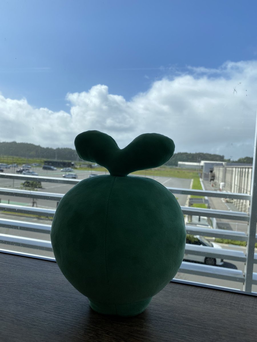 futabapoint's tweet photo. ✳︎2023.8.9✳︎
・
今日は晴一時曇/🌤️
・
「暑過ぎてまだ頭が回らない。」みたいなフタバサンです。

『室内にいても水分補給は忘れずに‼️』
・
今日は何の日
『長崎原爆の日』
1945(昭和20)年 午前11時頃、長崎に原爆が投下されました。毎年、原爆犠牲者慰霊平和記念式が行われます。
#futabapoint https://t.co/lDLdhNFrhi