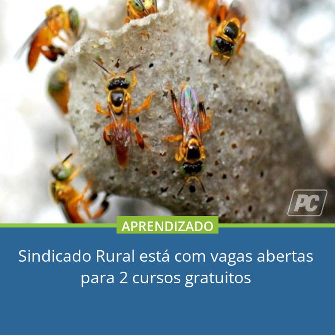 pdcMirassol's tweet image. APRENDIZADO | 🐝🐝Inscrições devem ser feitas no Sindicato Rural Patronal, na rua Floriano Peixoto, nº 1709, no Centro, em frente ao Fórum
➡portaldacidade.co/35ff4e3a9d
#mirassol #mirassolsp #sindicatorural