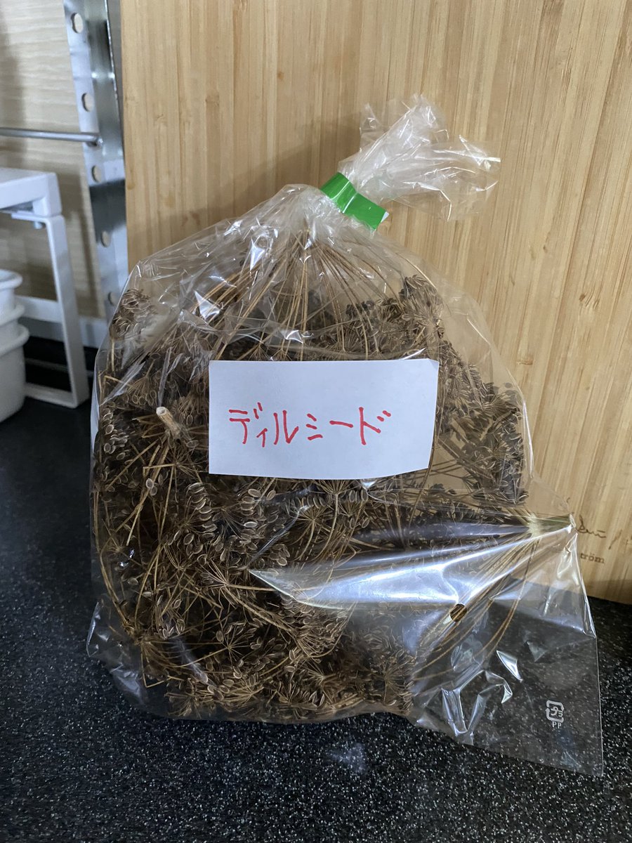 入手したディルシードをなす術がないまま放置して1週間が経とうとしています。