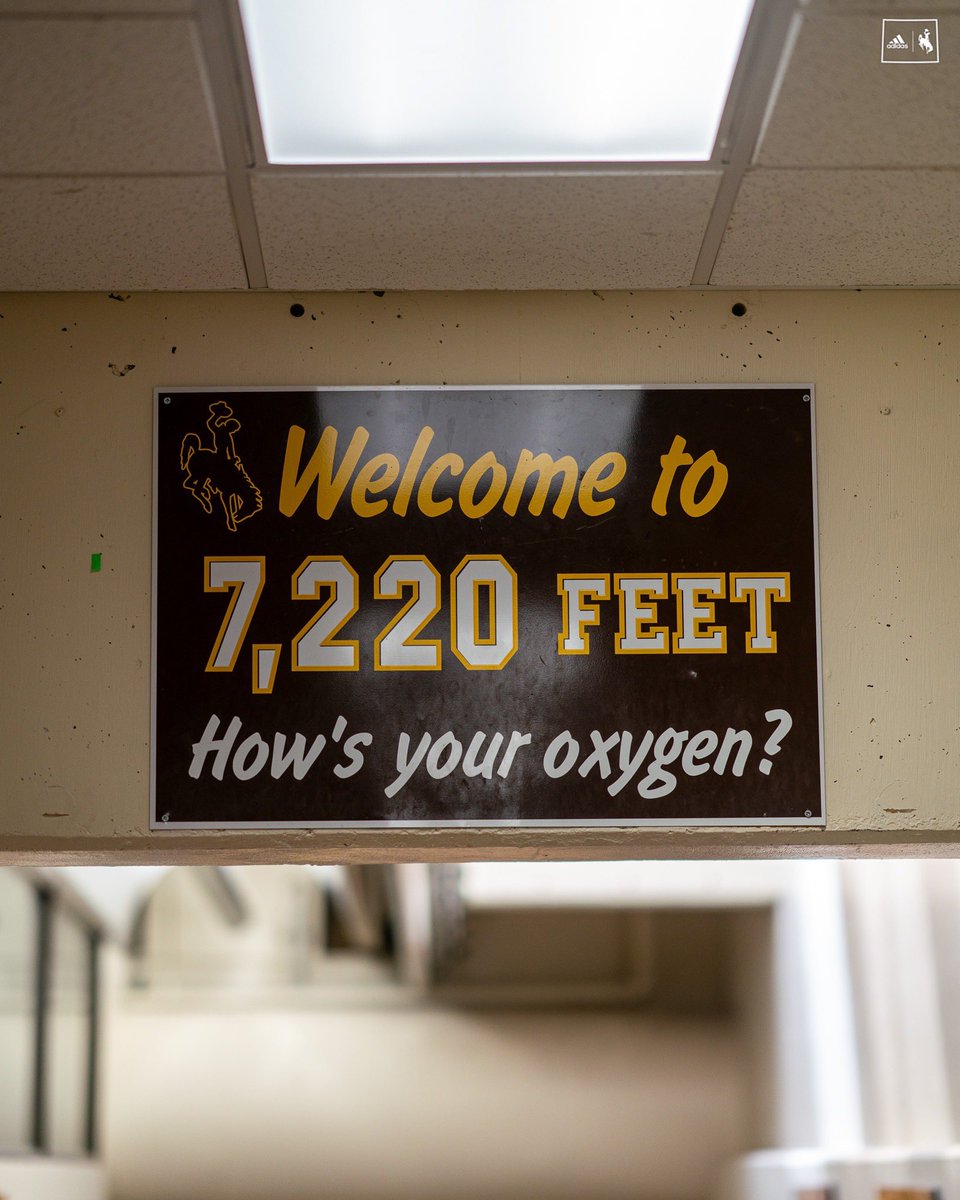 WYO_Volleyball's tweet photo. Electric energy in the UniWyo 
Day ☝️ of the 2023 campaign https://t.co/re8wpPB3w9