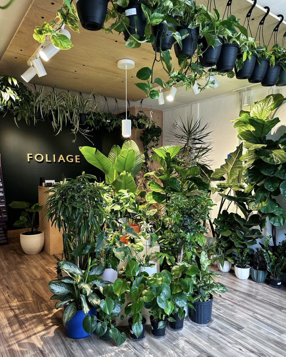 Downtown Georgetown tweet media