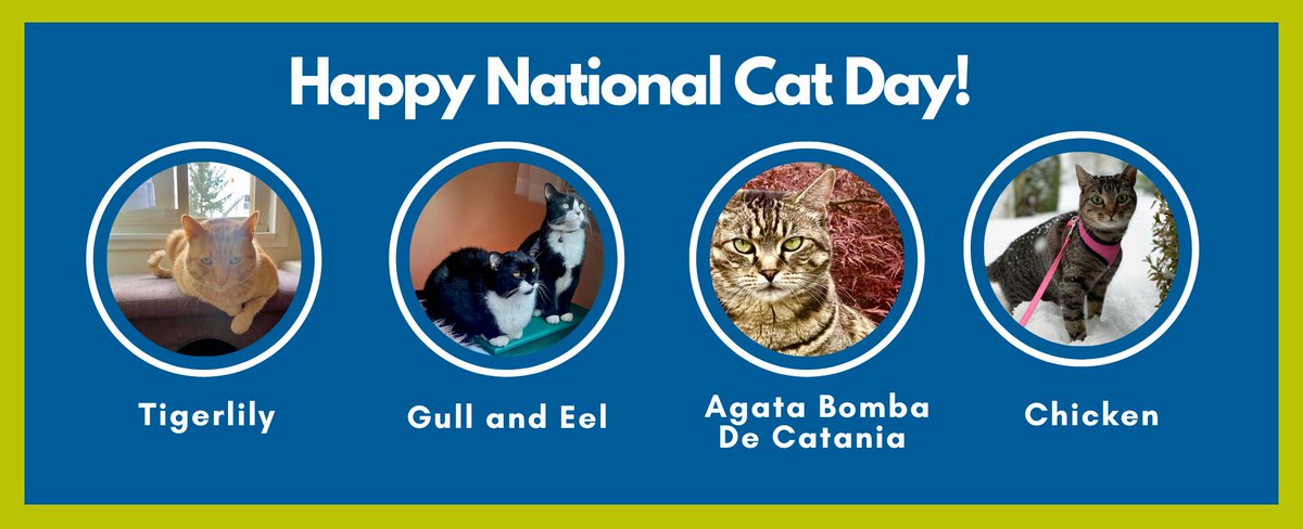 firmaniPR's tweet photo. Happy National Cat Day from all our feline friends at F+A! https://t.co/upgwoSDuI3