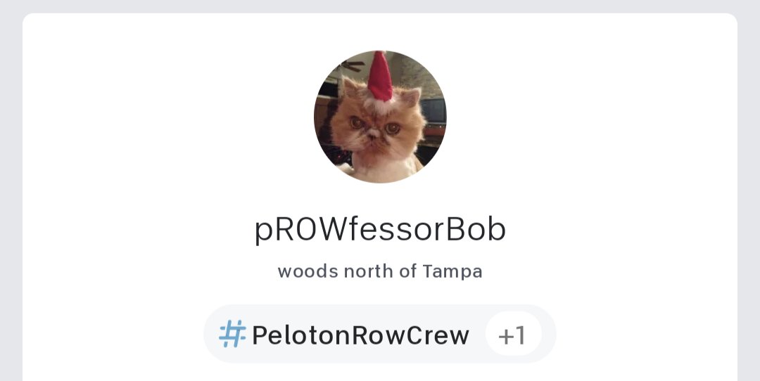 Update: the floor has been reached now that I've updated my profile picture to my family cat