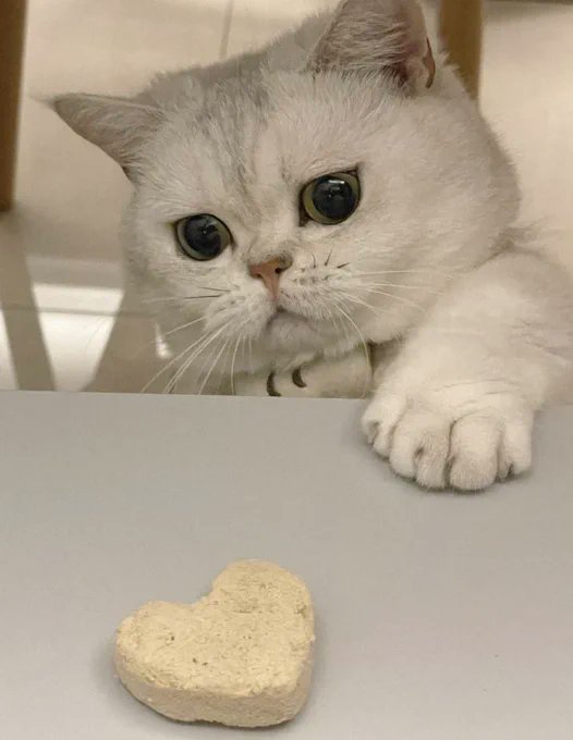 little guy what are your eyes looking at