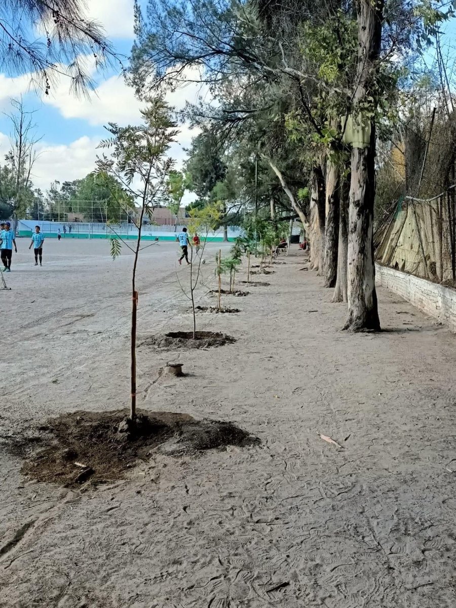 CortazarTu's tweet photo. A través de la #DirecciónMunicipalDelDeporte continúan  los trabajos de reforestación🌳🌳🌳 en las Unidades Deportivas Norte y Sur ⛹🏼♂️🤸🏼♂️así como en las instalaciones del Estadio de Béisbol🏟️. Es un compromiso del Alcalde @ariel_corona impulsar  el bienestar de las familias. https://t.co/390MqACcOZ