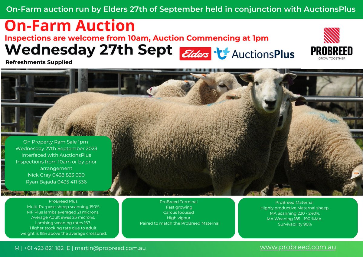 ProBreed Ram Sale Sept 27th 2023