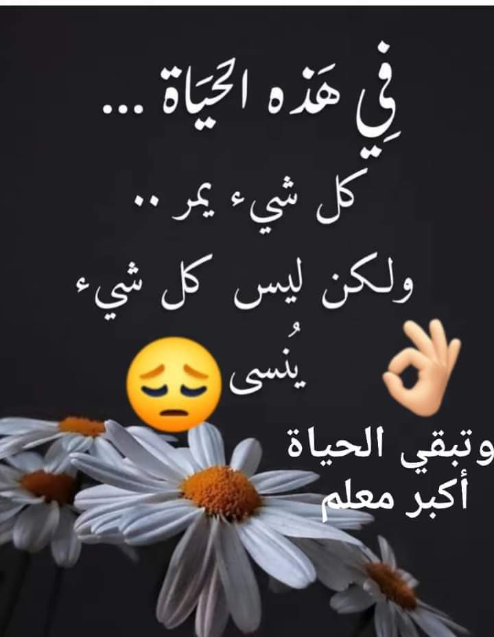 📌شذا📌 (@sama9558408) on Twitter photo 