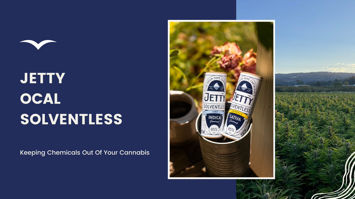 Jetty Extracts tweet media