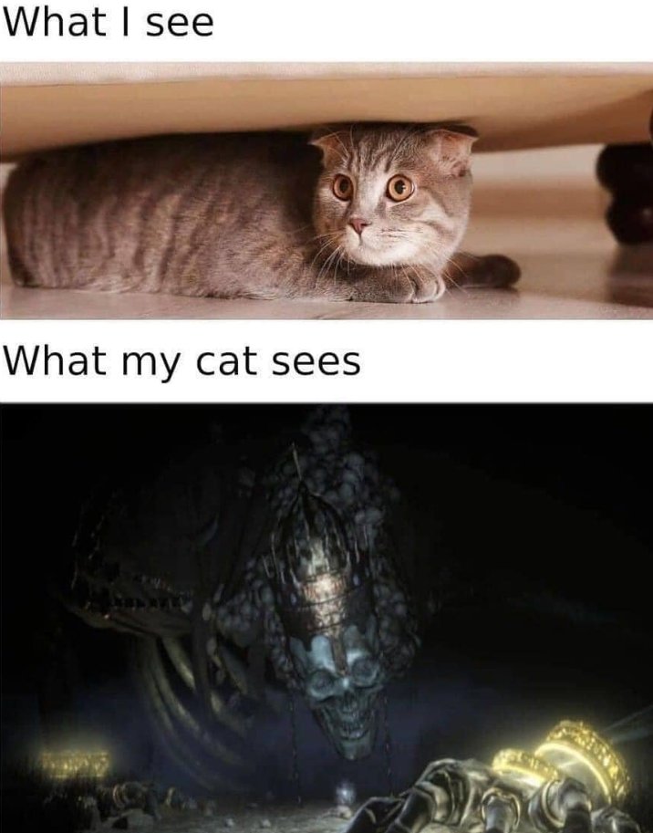 berserksouls's tweet image. 