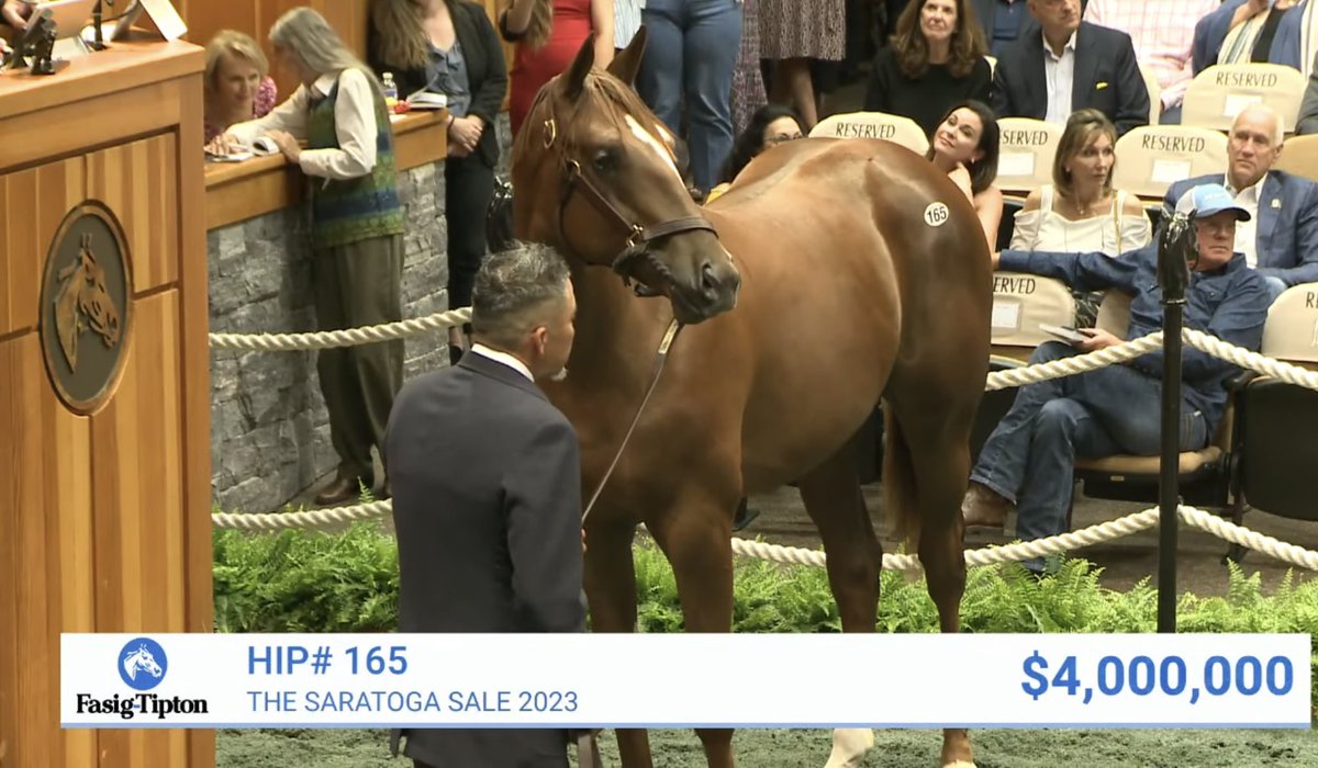HillnDaleFarm's tweet photo. Curlin ~Beholder colt hammers down for $4,000,000 @FasigTiptonCo Saratoga 🎪! https://t.co/hmN4ygcpKF